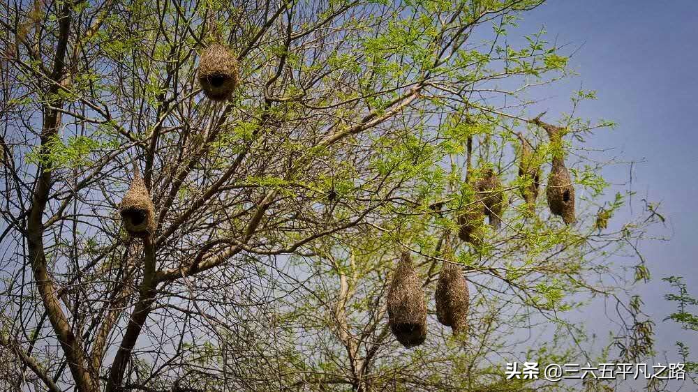 今日特码科普！后天电影高清免费观看完整版,百科词条爱好_2024最快更新