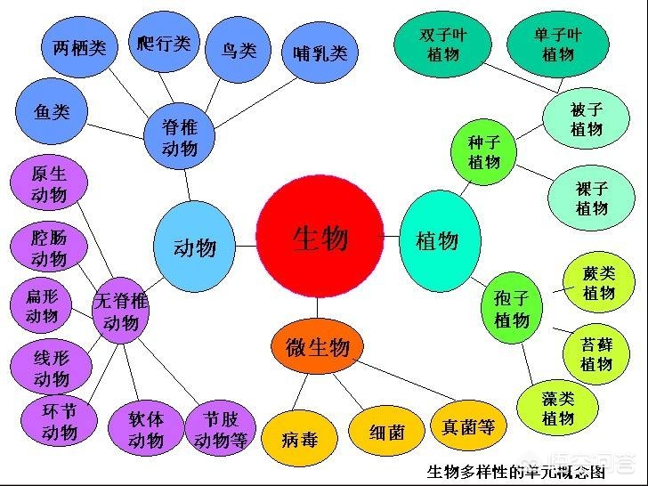 今日特码科普！1877澳门论坛资料,百科词条爱好_2024最快更新