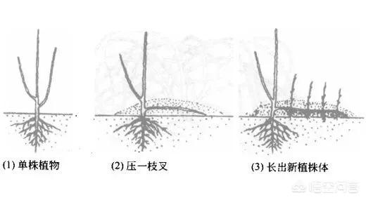 今日特码科普！1877澳门论坛资料,百科词条爱好_2024最快更新